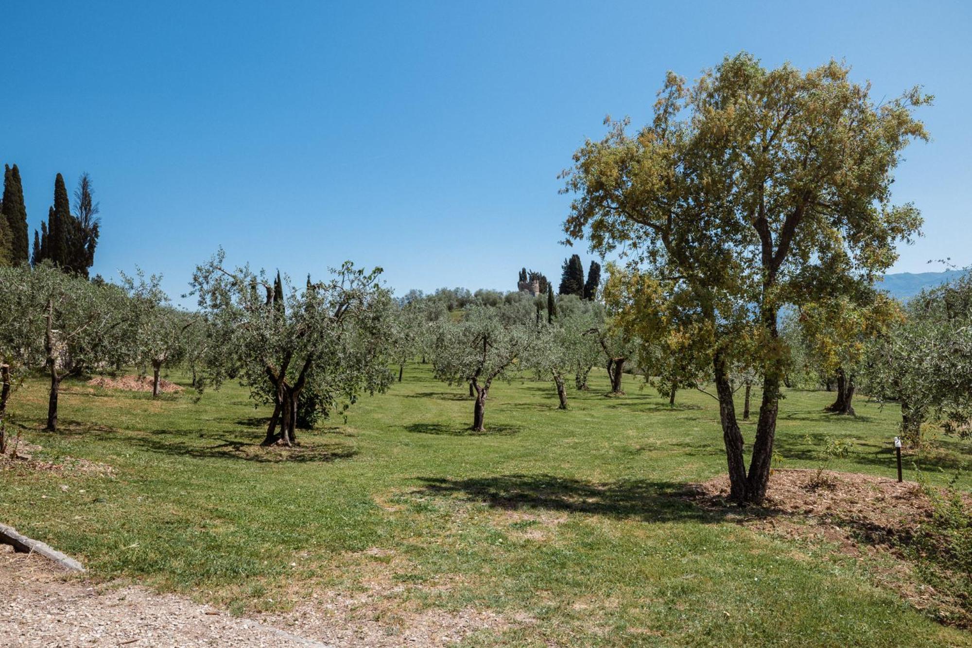 Casamaggio Hébergement de vacances